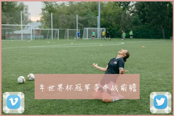 年世界杯冠军争夺战前瞻